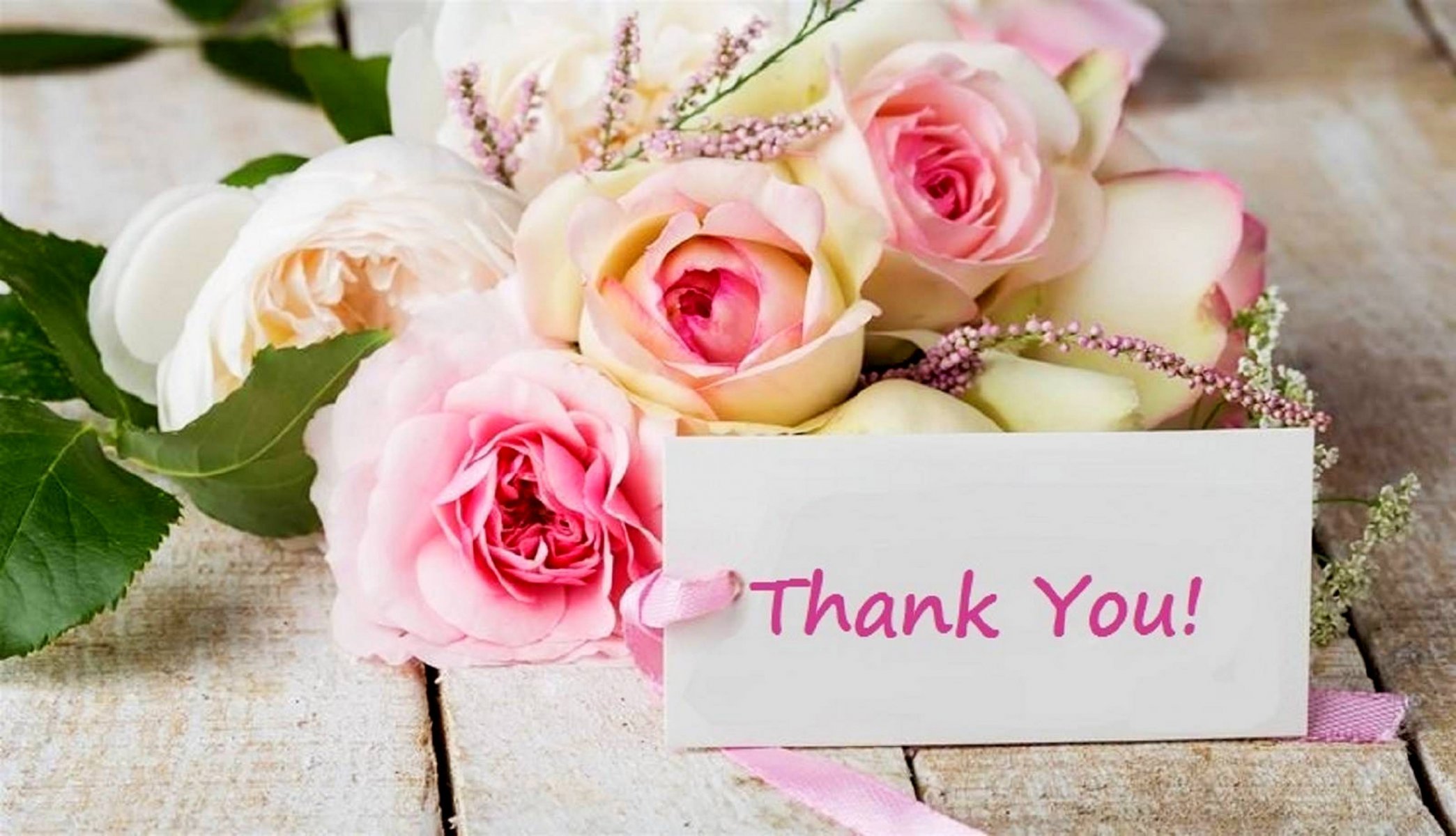 Thank You With Flowers Background - Cool Thank You Wallpapers Top Free