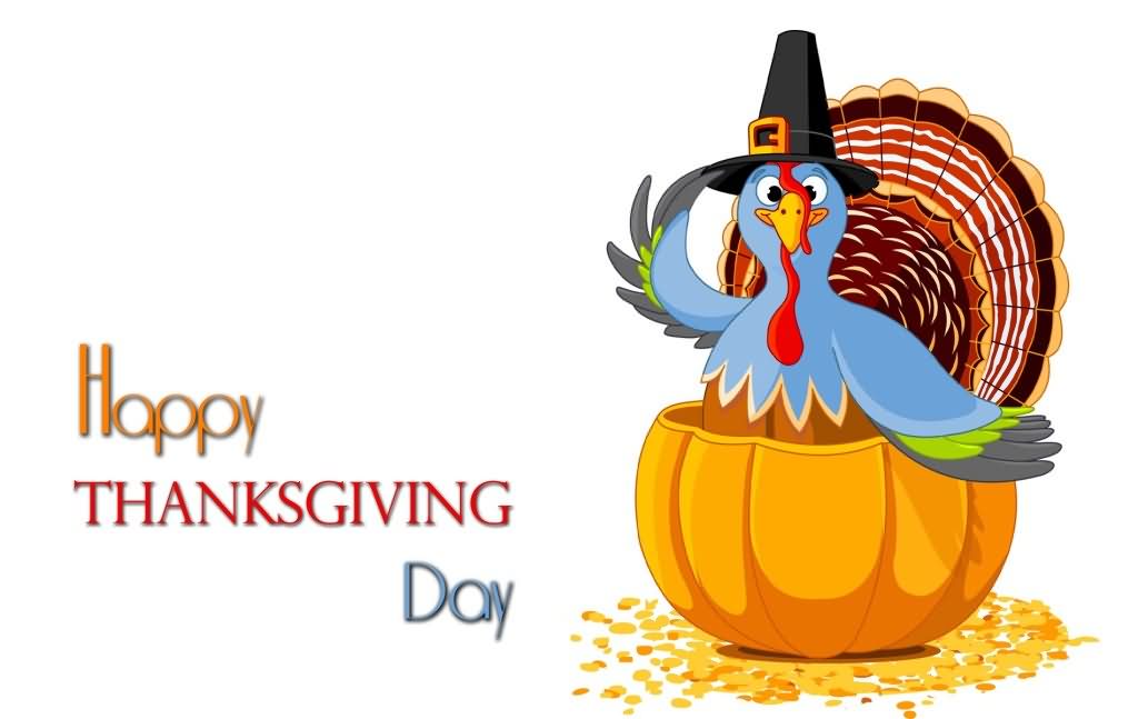 Funny Happy Thanksgiving Day Wallpaper | Imagefully.com | Images ...