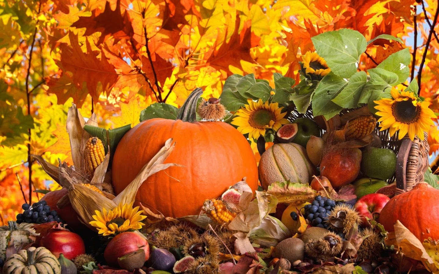 Thanksgiving Day Wallpaper - Android Apps on Google Play