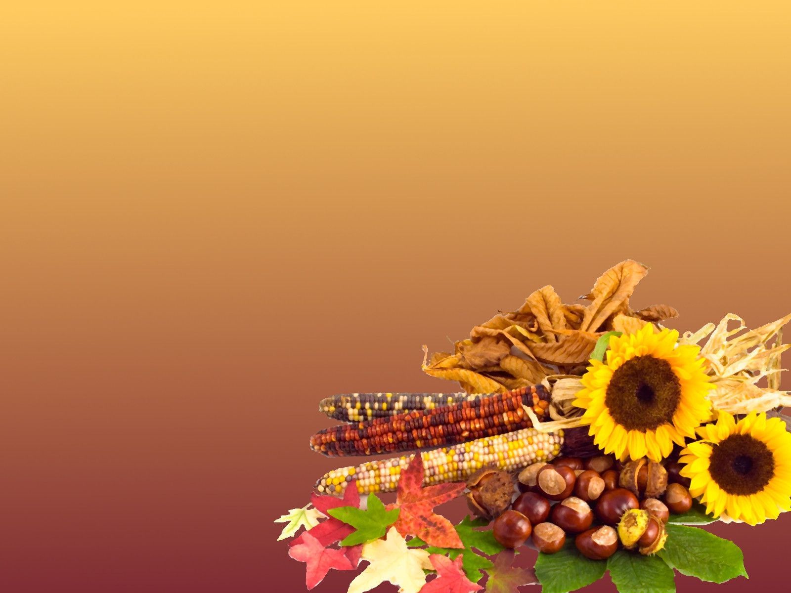 Free Thanksgiving Wallpapers - Wallpaper Cave