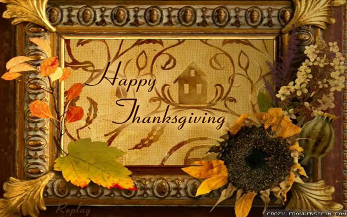 Happy Thanksgiving Day wallpapers - Crazy Frankenstein