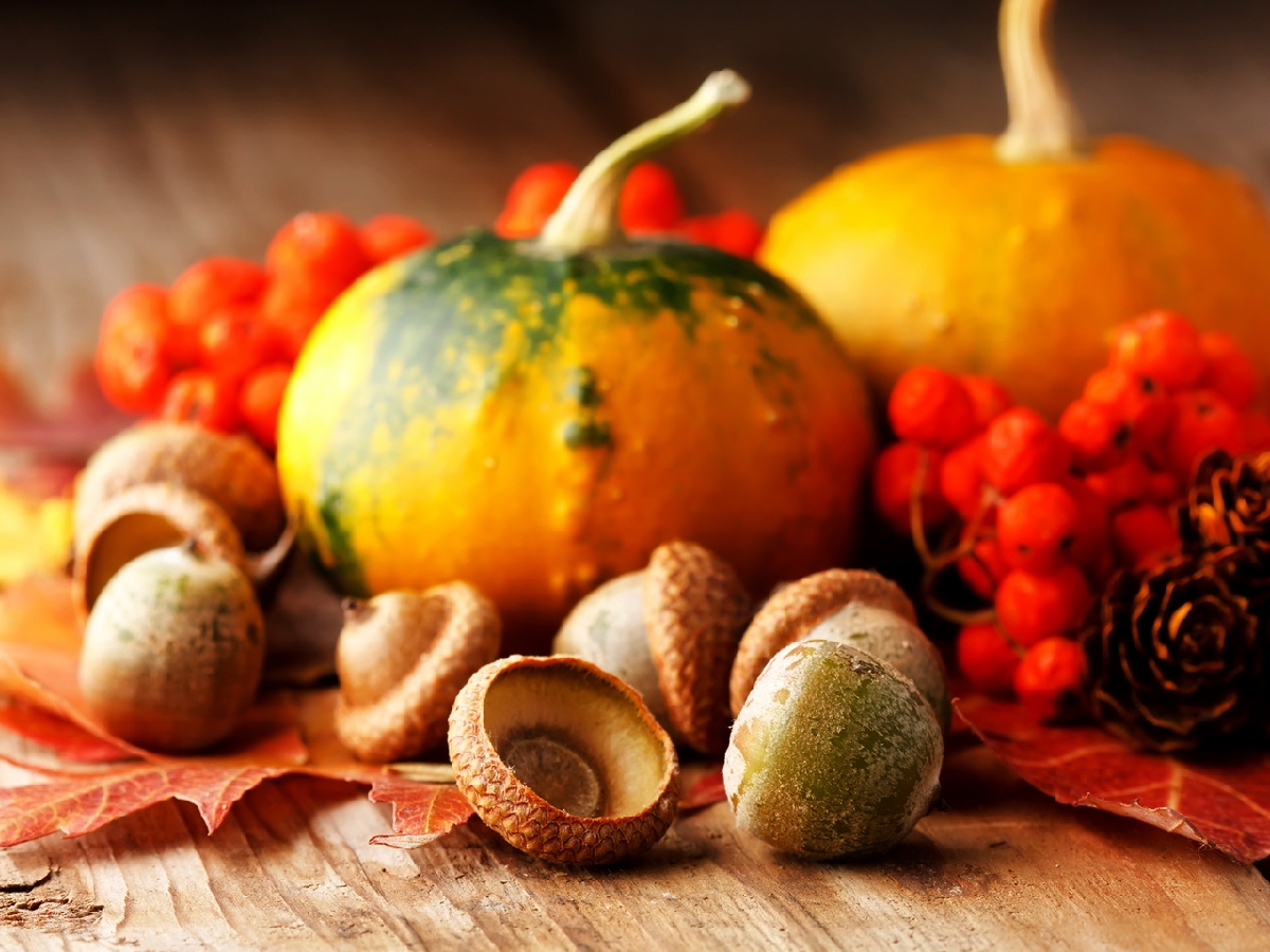 Thanksgiving Live Wallpaper Free Best Images Collections HD