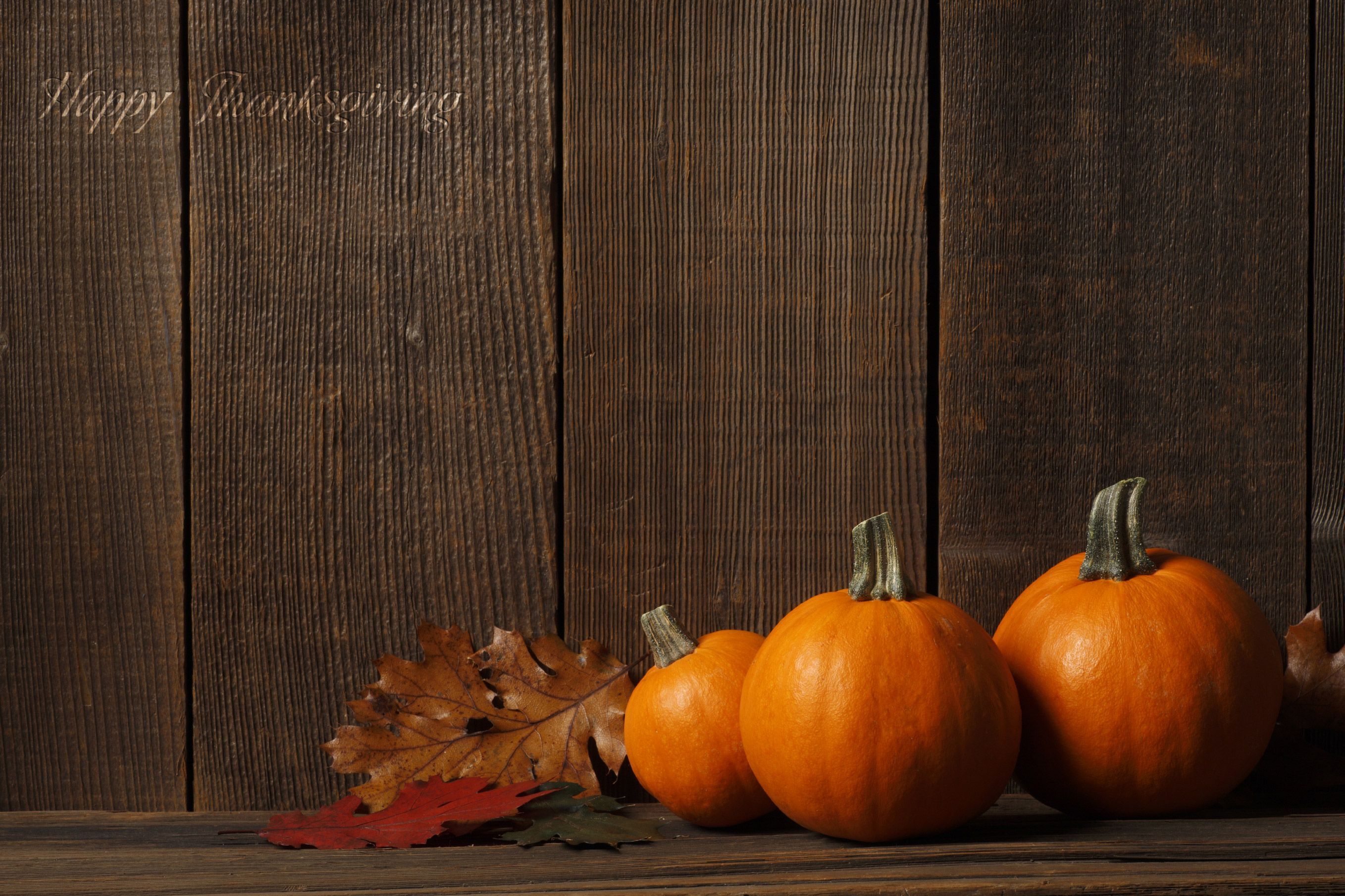 Wallpaper Roundup: Turkey Time and Pumpkin Pie
