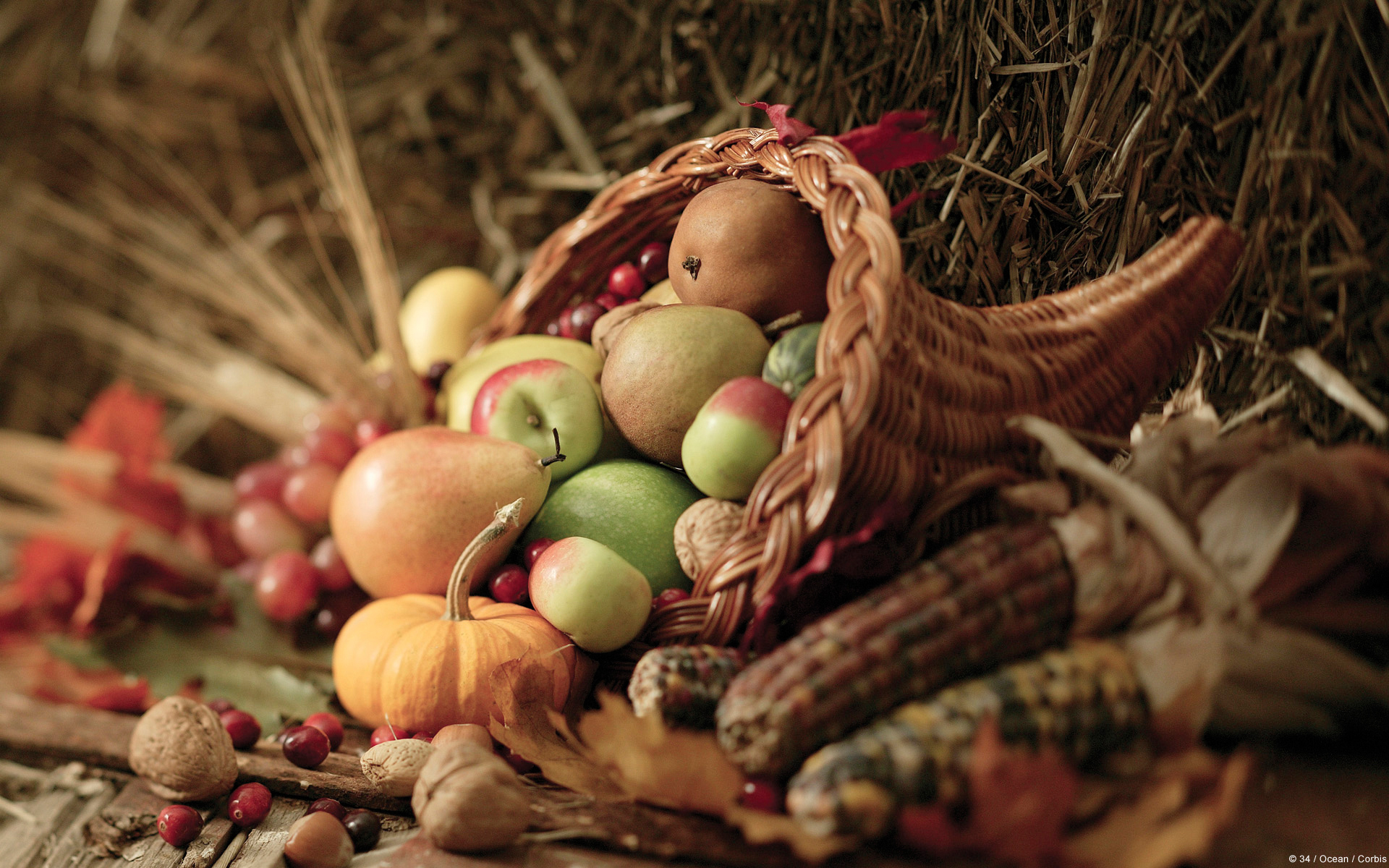 25 Festive Thanksgiving Themes, Desktop Wallpapers, Facebook ...