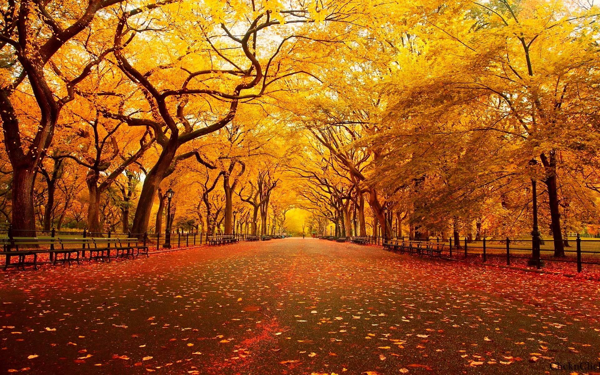Fall Thanksgiving Wallpapers - Wallpaper Cave