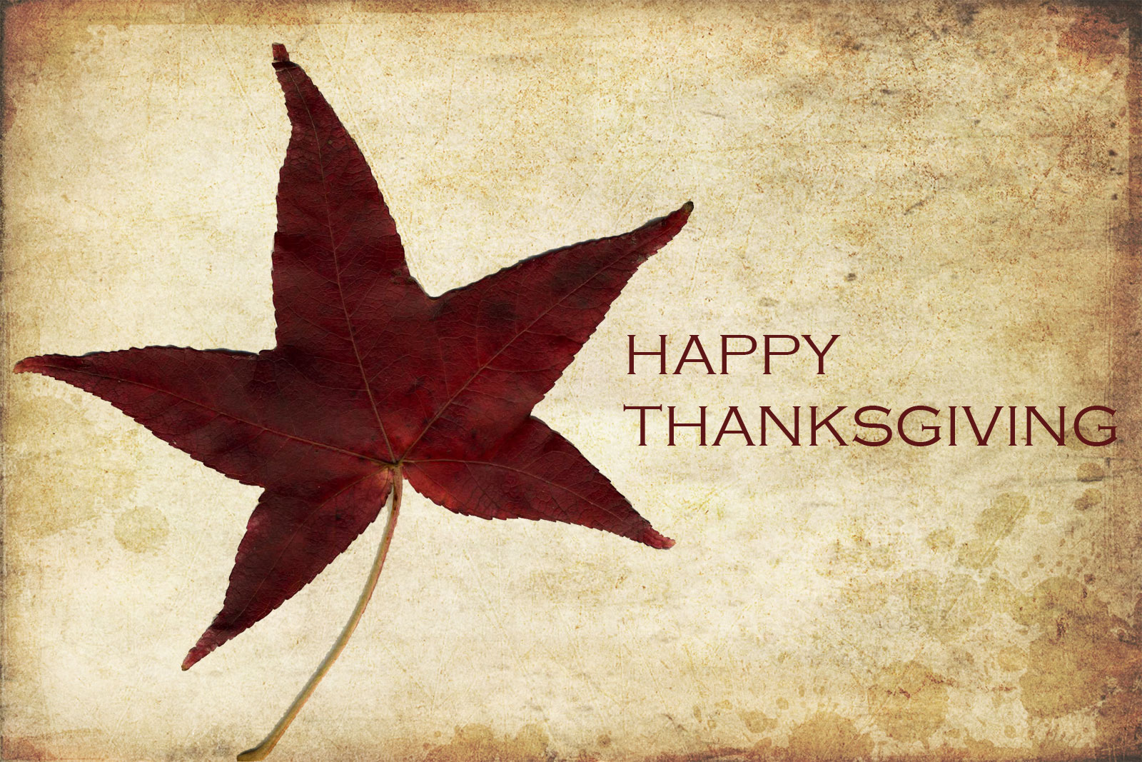Happy Thanksgiving Day 2013 HD Wallpapers & Facebook Cover Photos