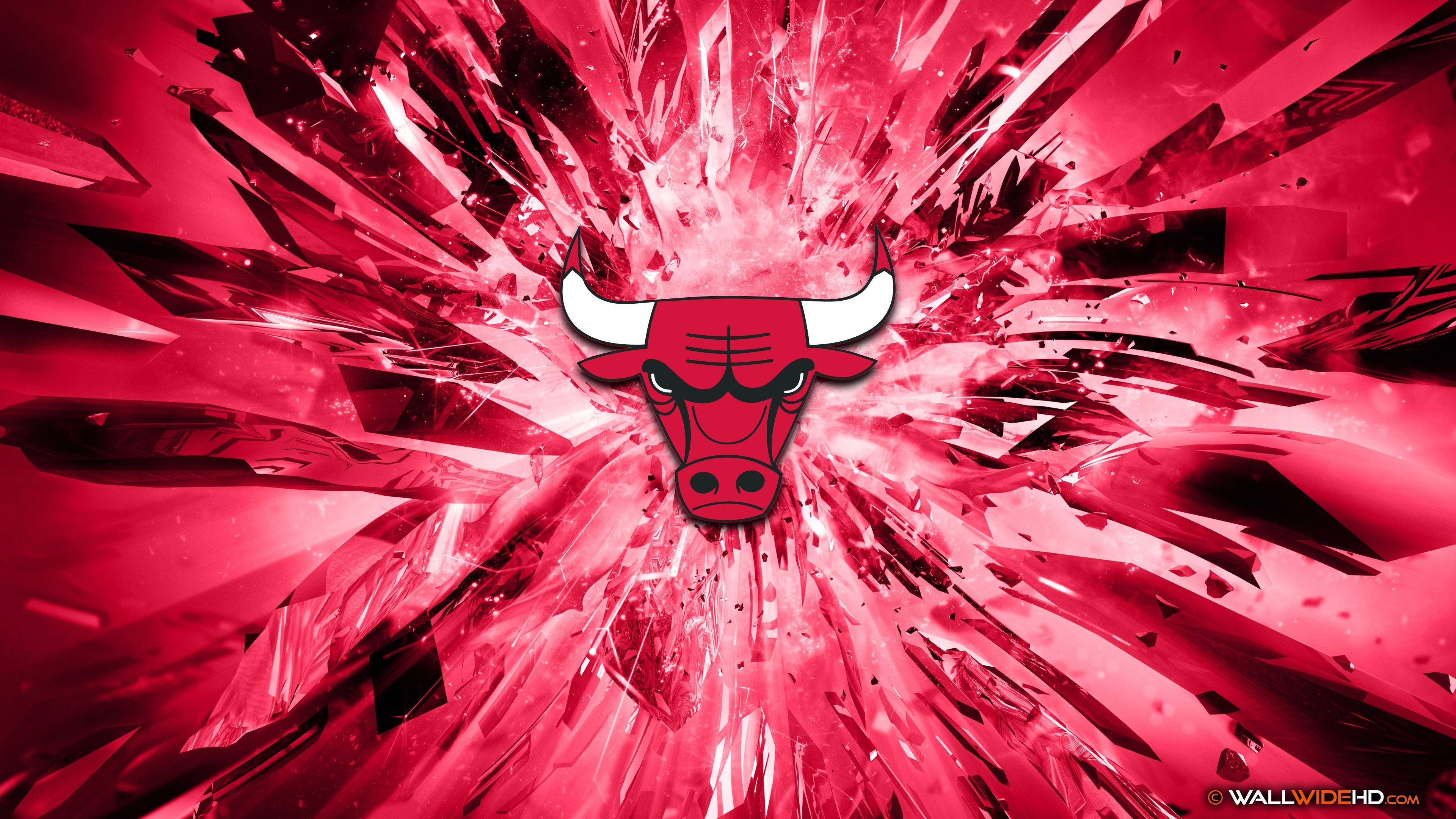 Chicago Bulls 2015 Logo 4K Wallpaper
