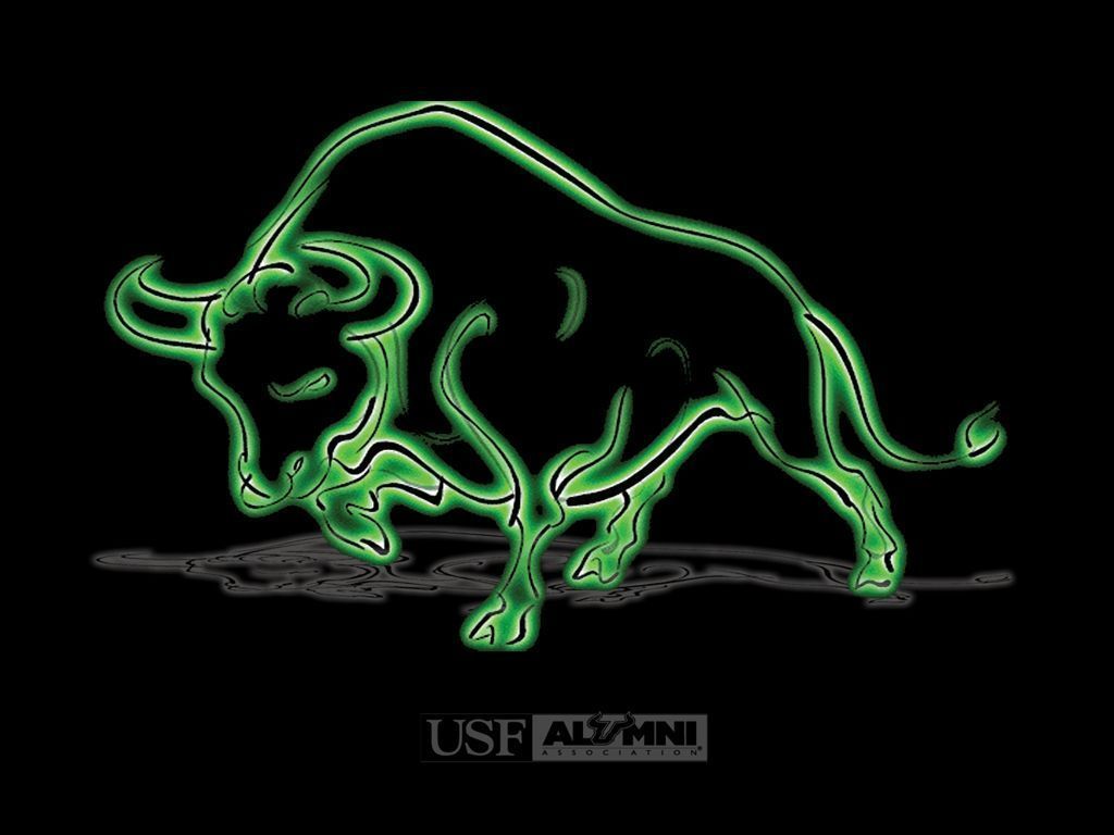 USF Alumni - USF Wallpaper
