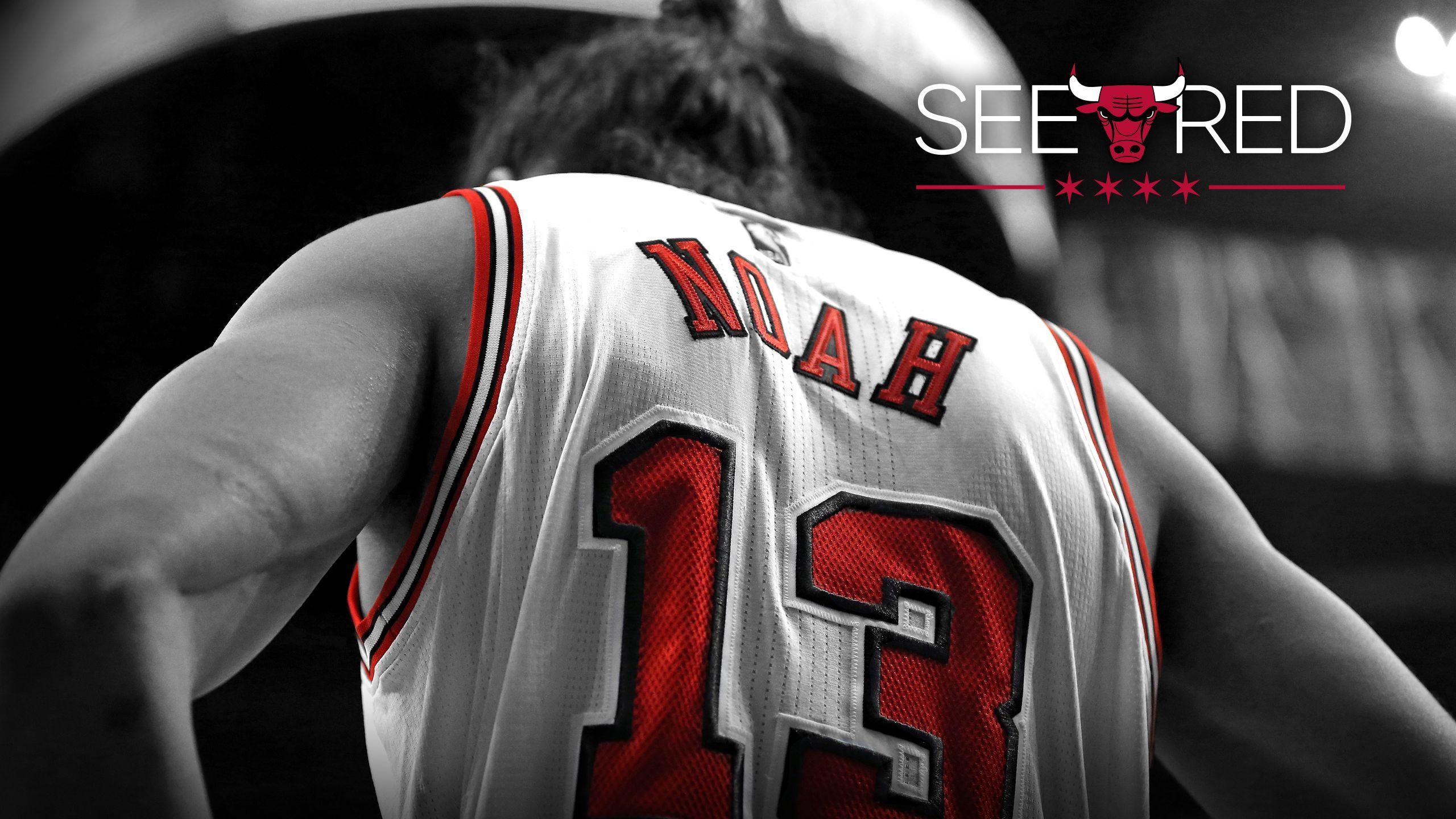 2015 See Red Wallpaper Chicago Bulls