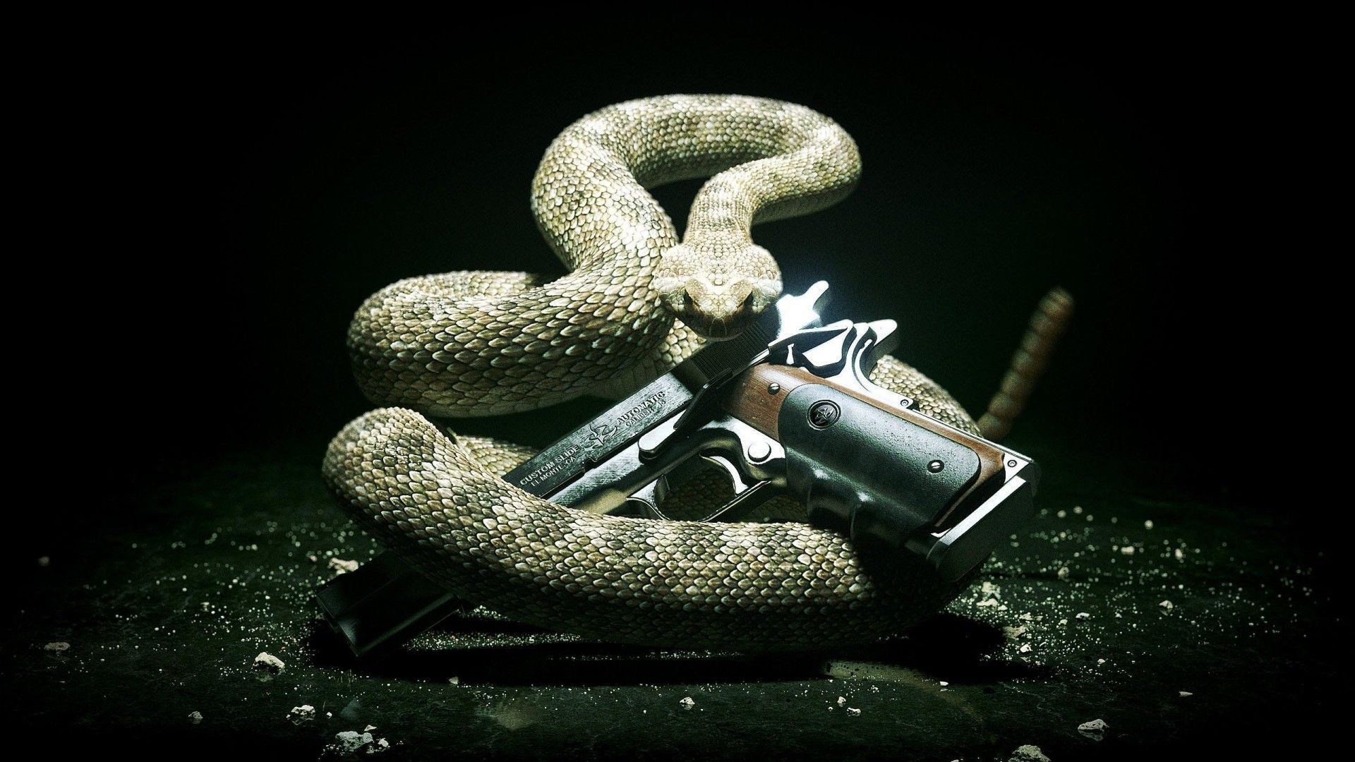 Rattlesnakes and Gun in the Darkness Wallpaper Free Rattlesnakes