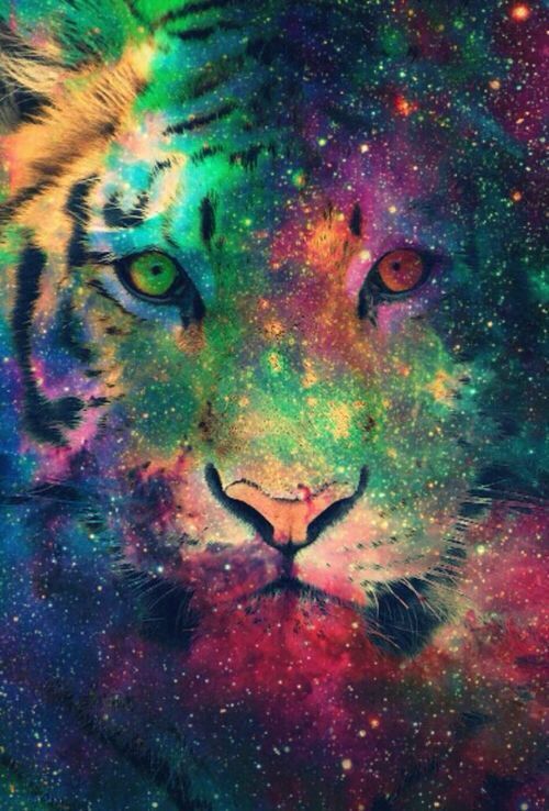 tiger galaxy wallpaper | ~wallpapers~ | Pinterest | Galaxy ...