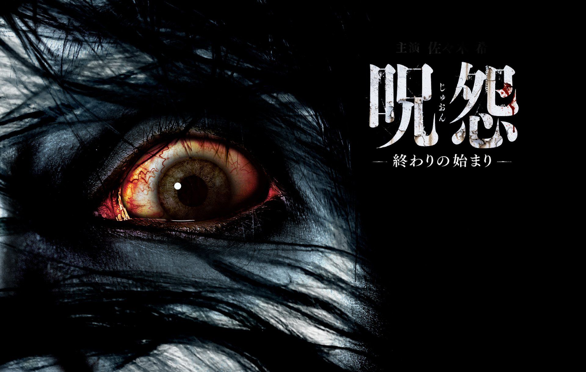 GRUDGE horror mystery thriller dark evil demon ghost ju on poster