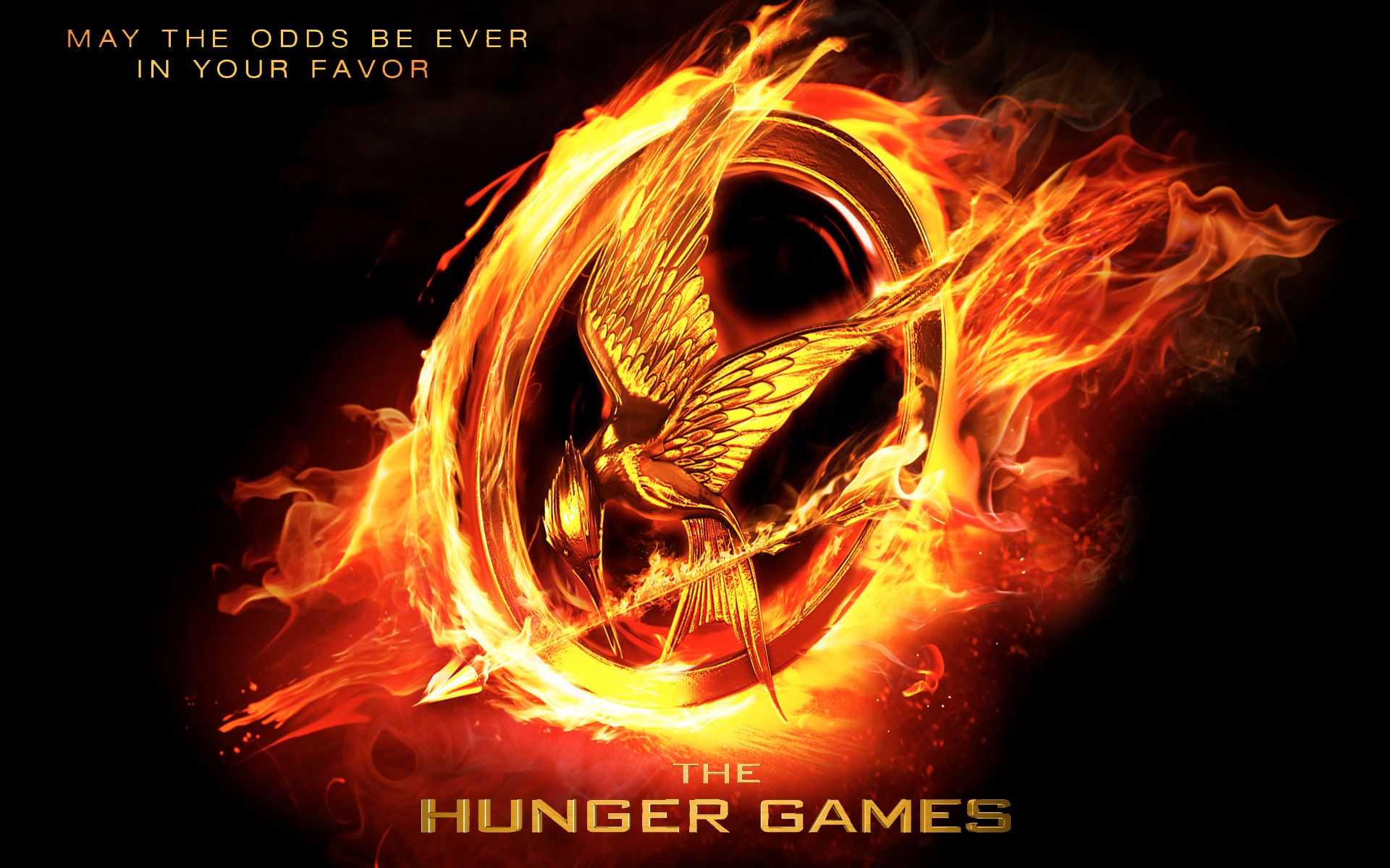 Hunger Games Mockingjay wallpaper  Hunger games wallpaper Hunger games  mockingjay Hunger games
