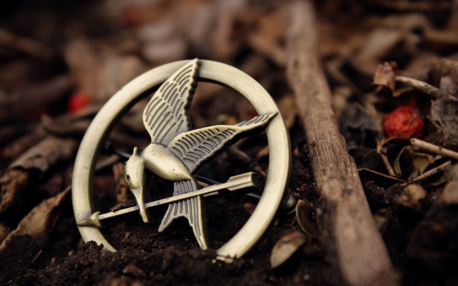 Hunger Games Desktop Wallpaper, Hunger Games Pics, New Wallpapers