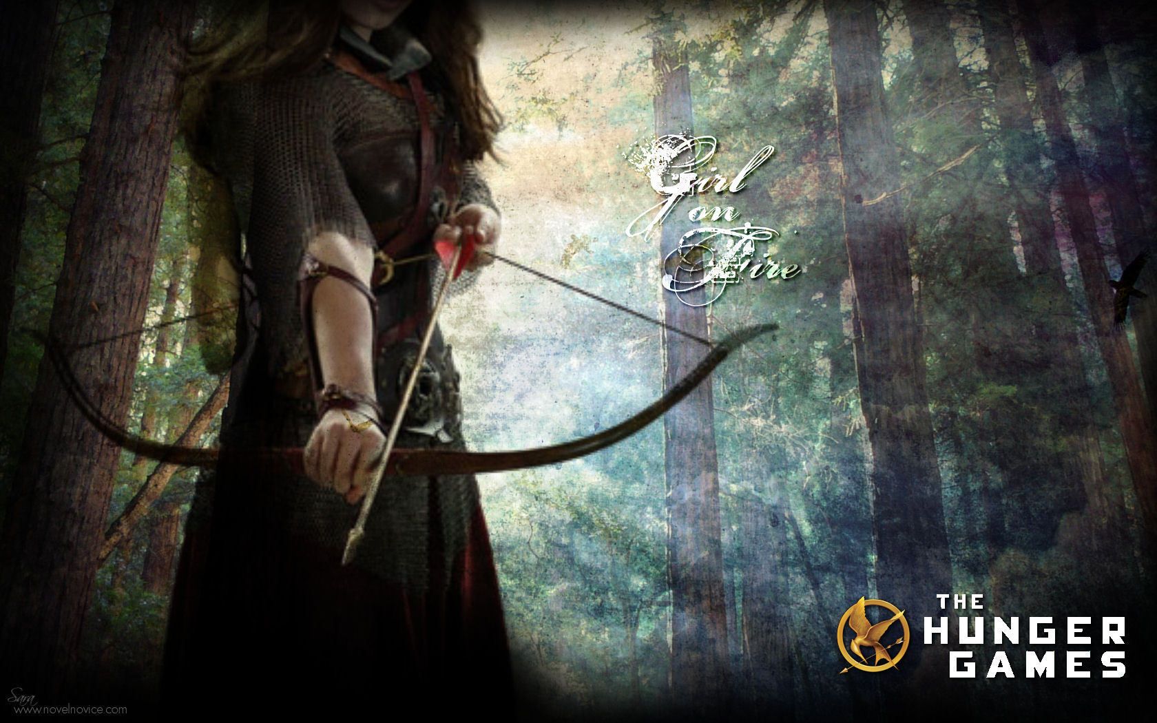 The Hunger Games Wallpapers - The Hunger Games Wallpaper