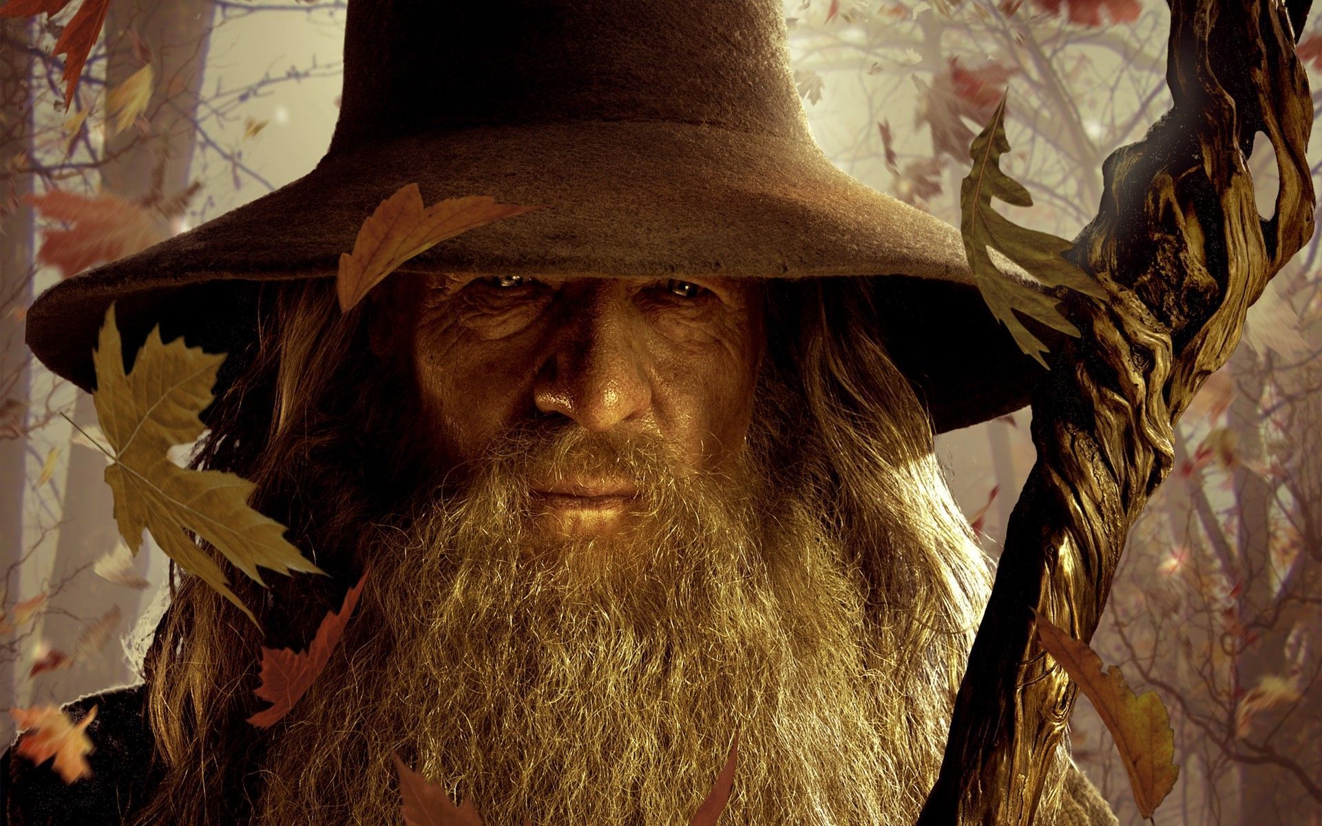 Gandalf - The Lord of the Rings Wallpaper #7249