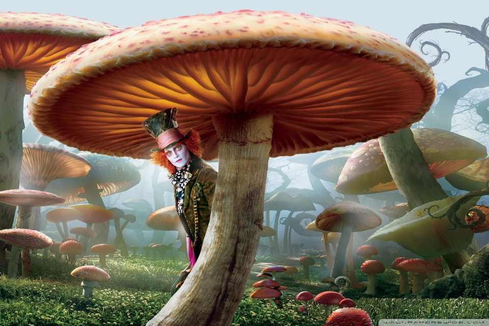 Mad Hatter, Alice In Wonderland HD desktop wallpaper Widescreen