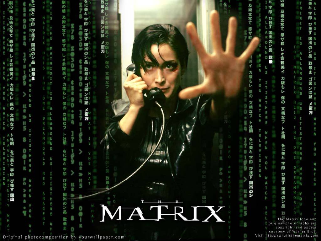 Trinity from The Matrix - The Matrix Wallpaper (2282236) - Fanpop