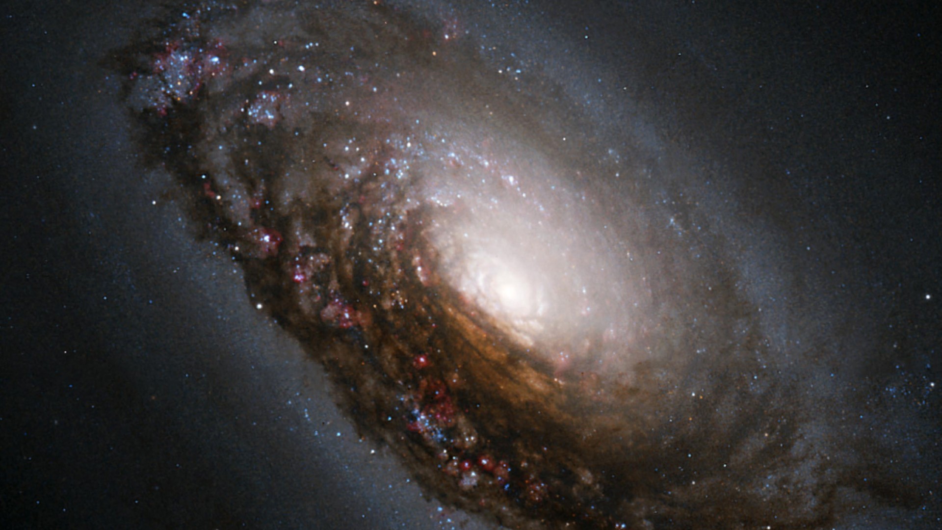 Milky Way Galaxy Top HD Wallpaper id: 10523h - Pacify Mind