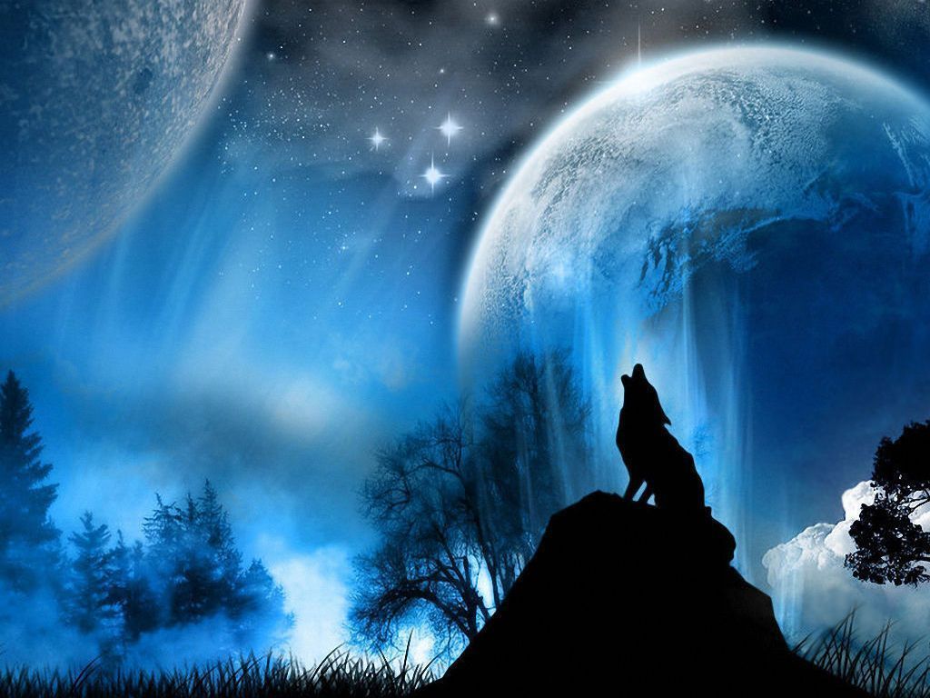 The Moon - Moon Wallpaper (22762224) - Fanpop