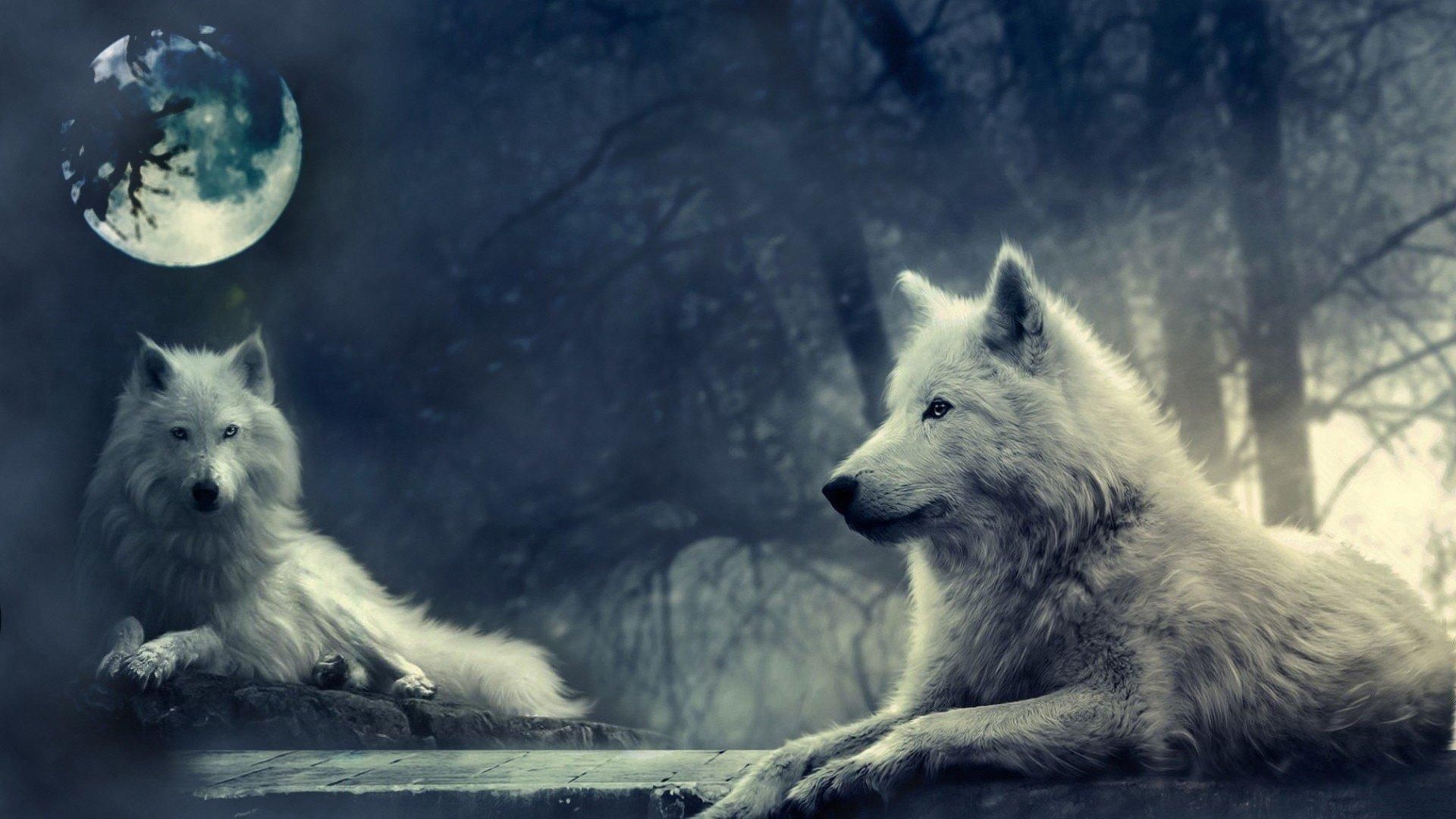 Wolves The Moon HD Wallpaper, get it now