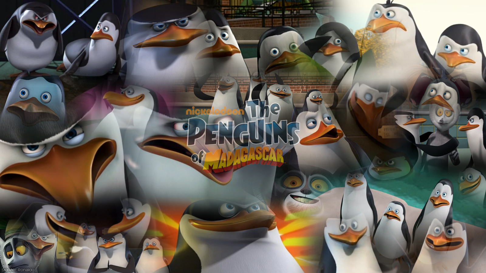 The Penguins Of Madagascar Collage By PenguinStyle - Skipper
