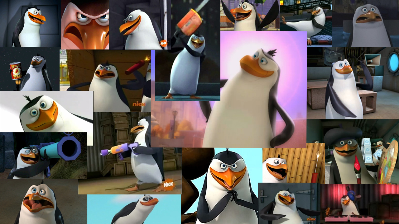 Rico Wallpaper - Rico:The Penguins Of Madagascar Wallpaper ...