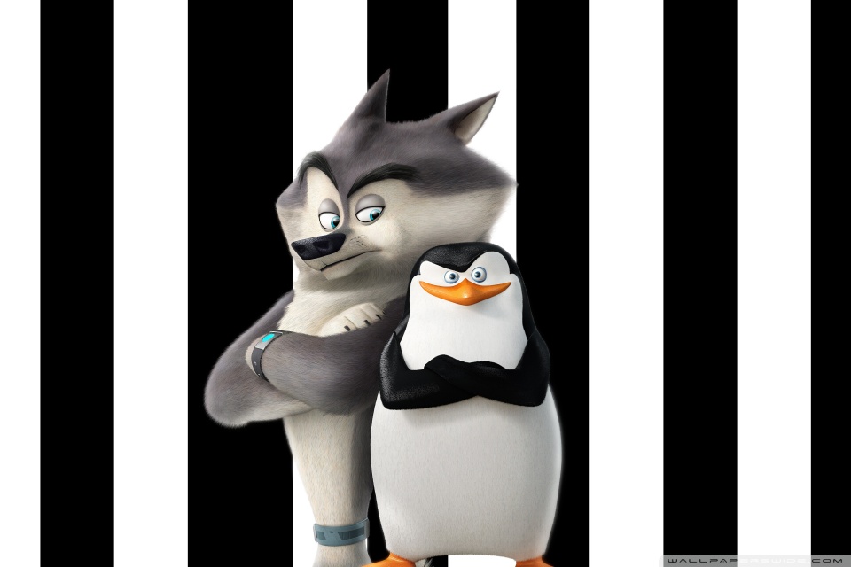 Penguins of Madagascar Skipper and Classified HD desktop wallpaper ...