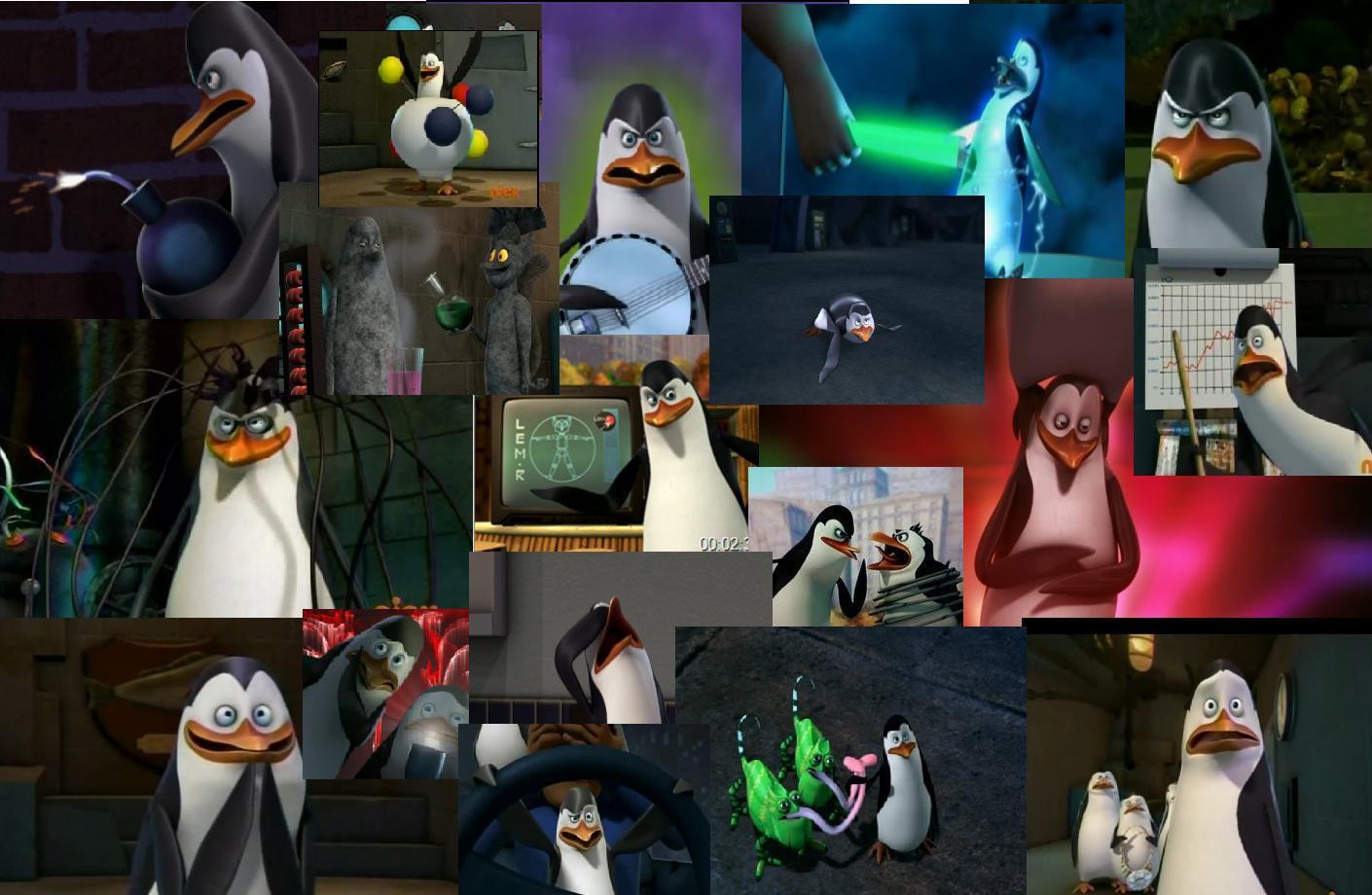 Kowalski Wallpaper - Penguins of Madagascar Photo (25559323) - Fanpop