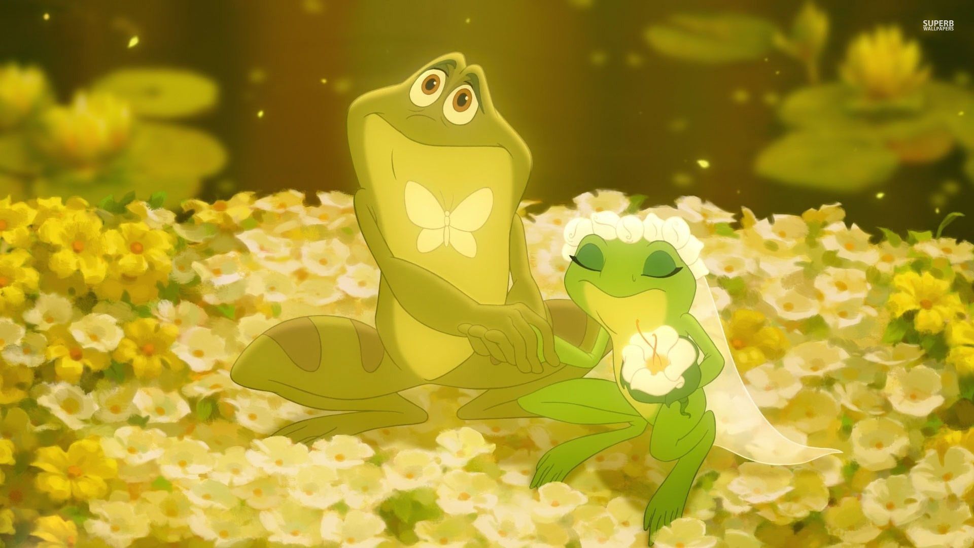 The Princess and the Frog wallpaper - Cartoon wallpapers - #33134