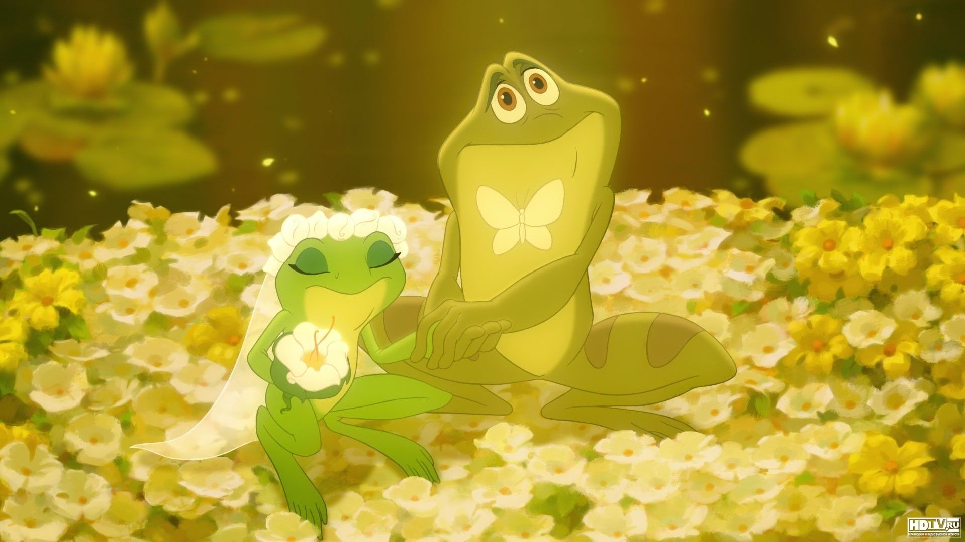 6 The Princess And The Frog HD Wallpapers | Backgrounds ...