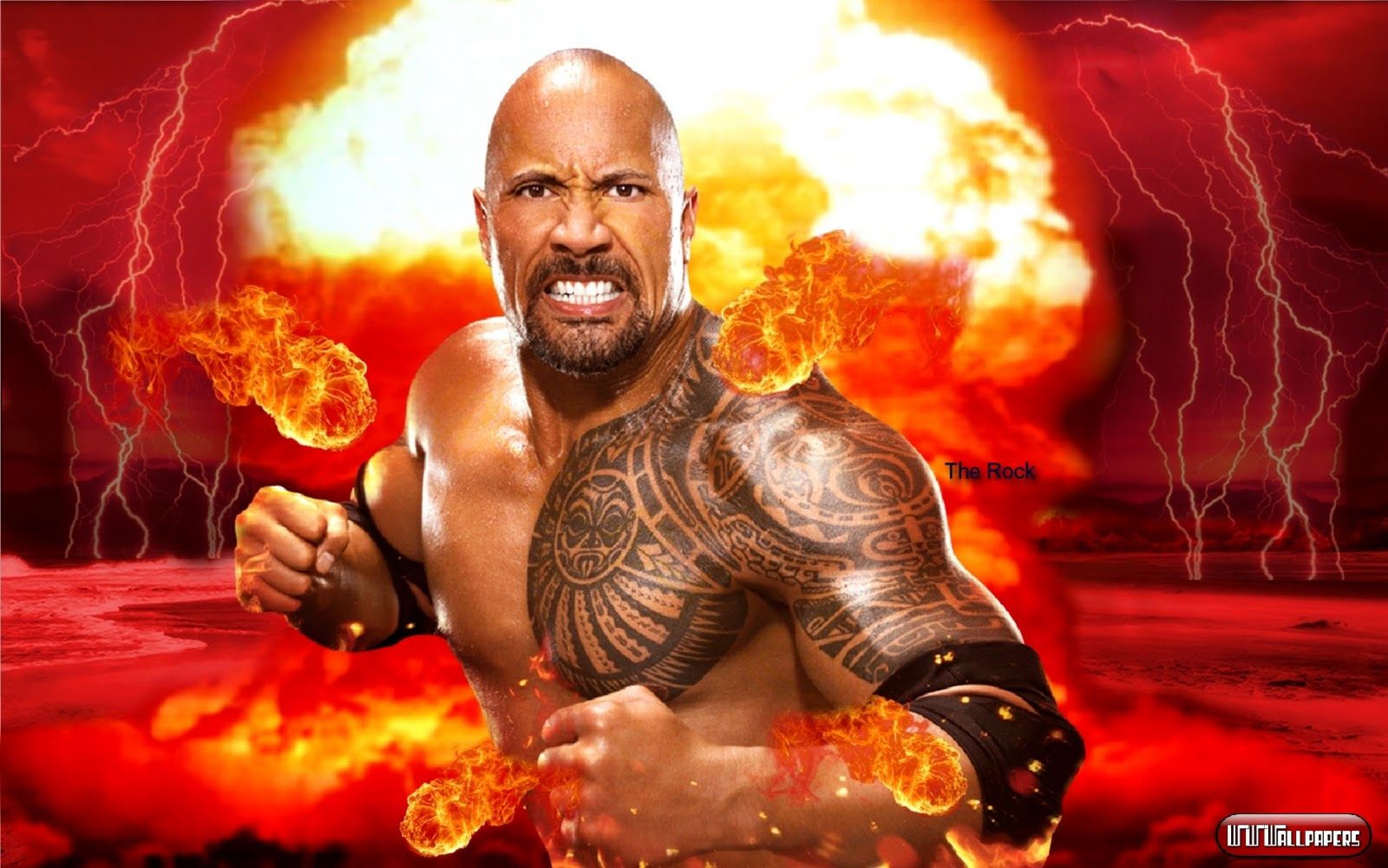 The Rock Wallpaper - WWE on Wrestling Media
