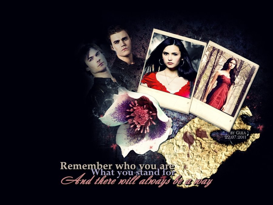 The Vampire Diaries Wallpaper by Gula1 on DeviantArt