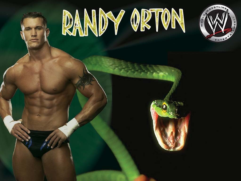 randy orton the viper - Randy Orton Wallpaper (17449867) - Fanpop