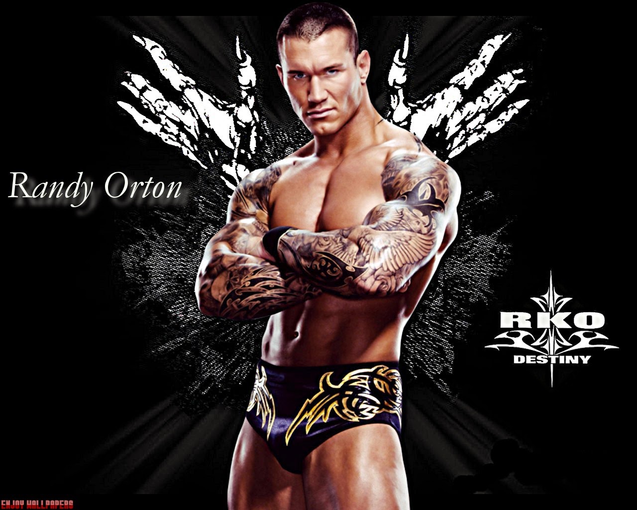 Randy Orton ( The Viper ) HD Wallpapers - WWE Wallpapers free