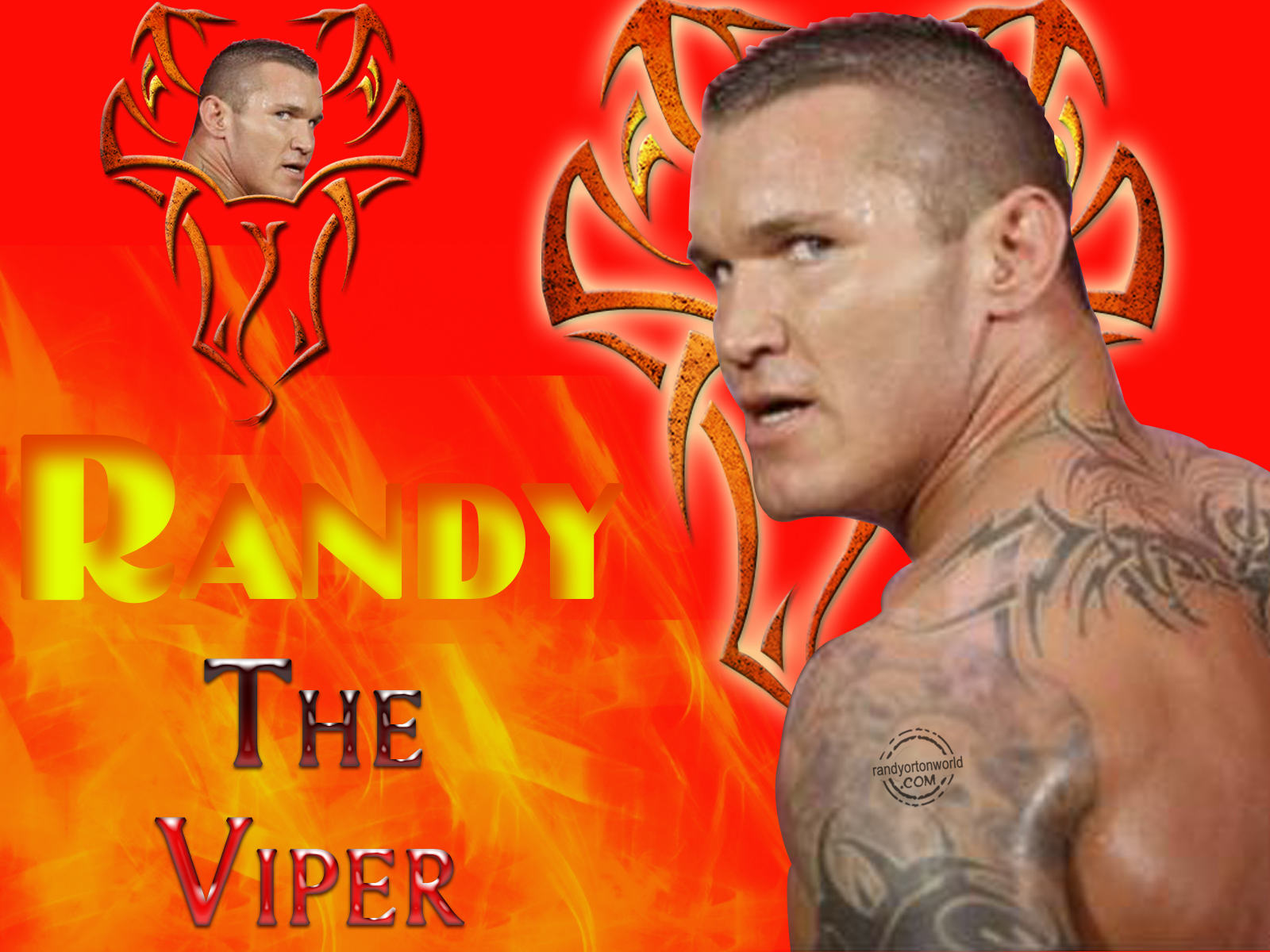 Randy Orton – The Viper Wallpaper | WWE Randy Orton