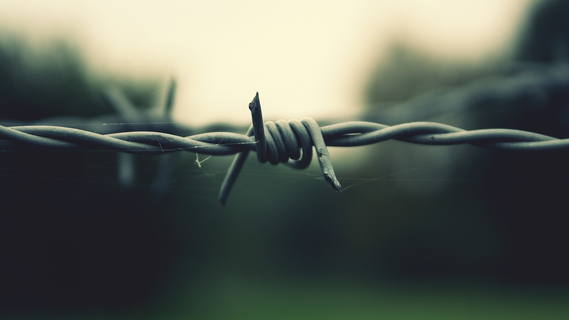 Download the Barbed Wire Wallpaper, Barbed Wire iPhone Wallpaper ...