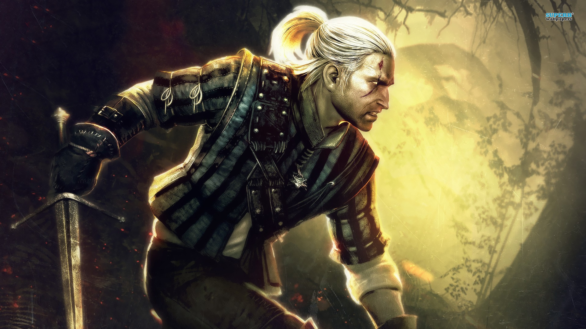 Geralt - The Witcher 2: Assassins of Kings : Desktop and mobile ...