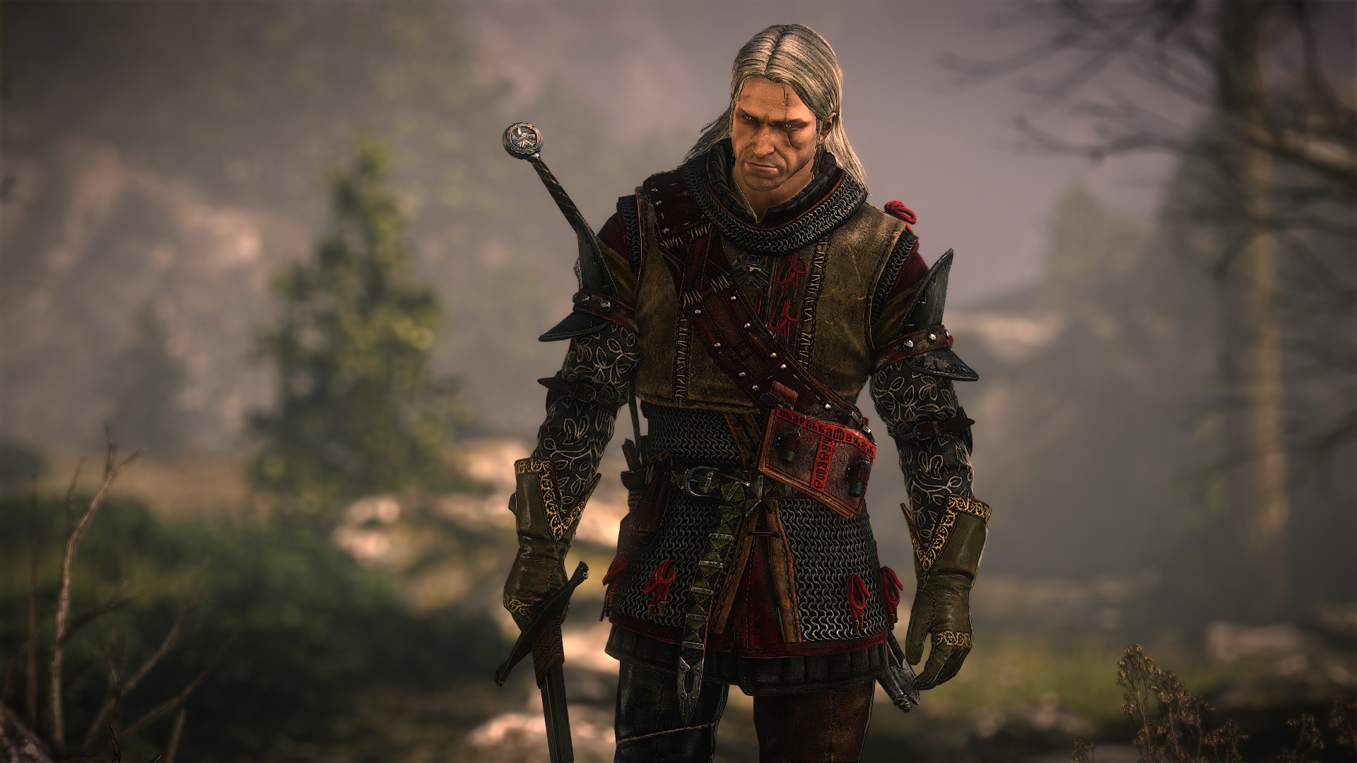 12 The Witcher 2: Assassins Of Kings HD Wallpapers | Backgrounds ...