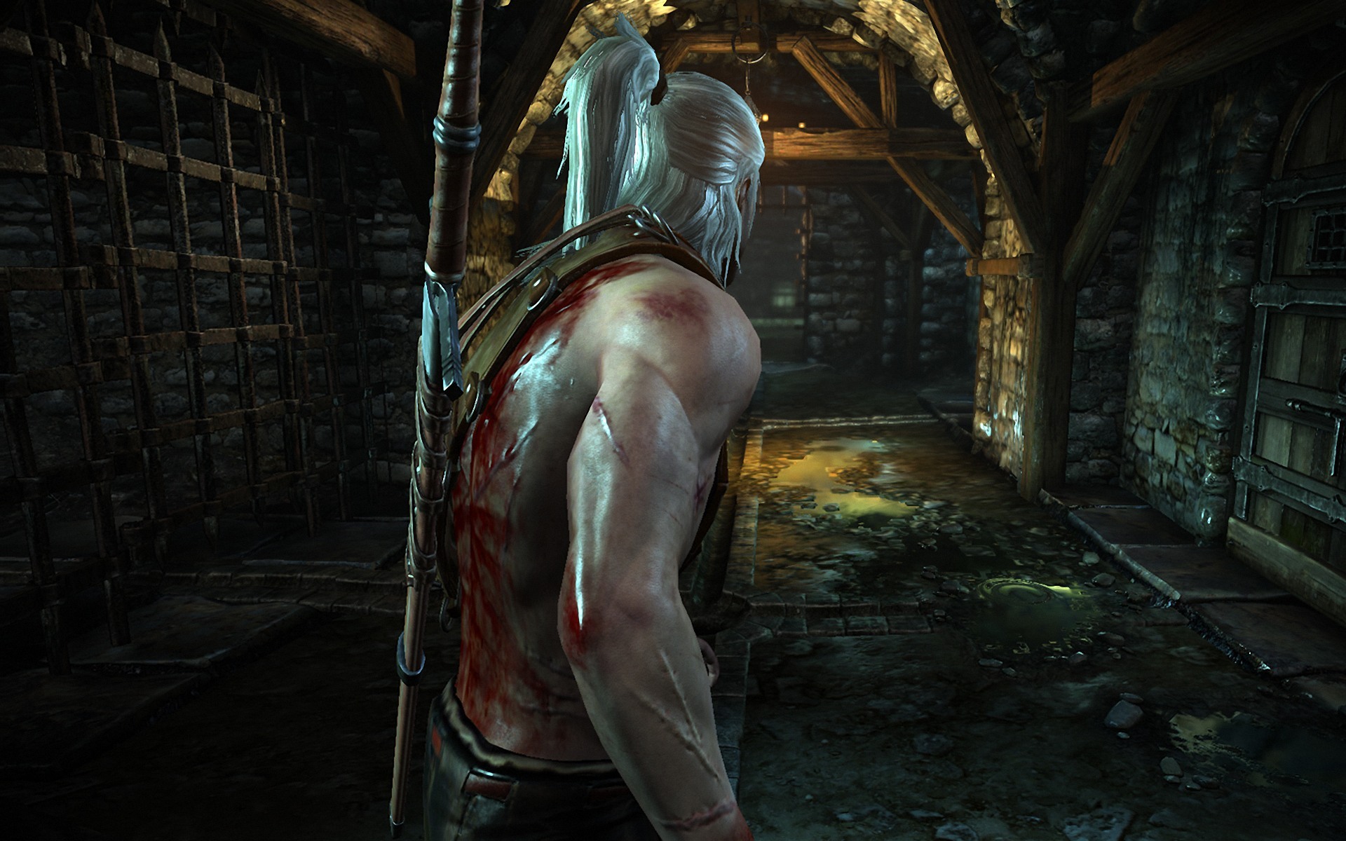 The Witcher 2 tunnel 1920x1200 Wallpapers, 1920x1200 Wallpapers ...