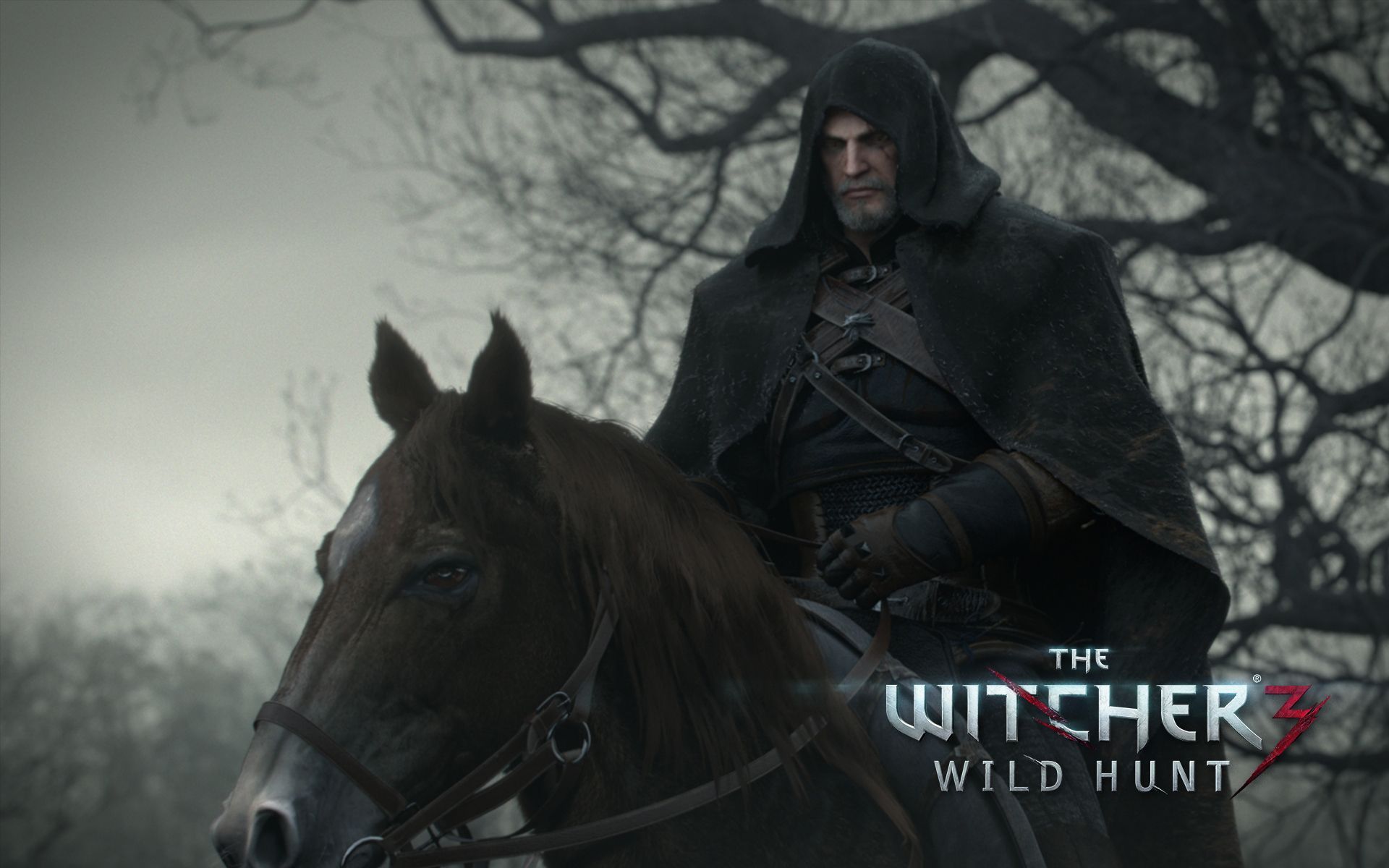 Witcher 3 New wallpaper, videos and hidden messages - The Witcher
