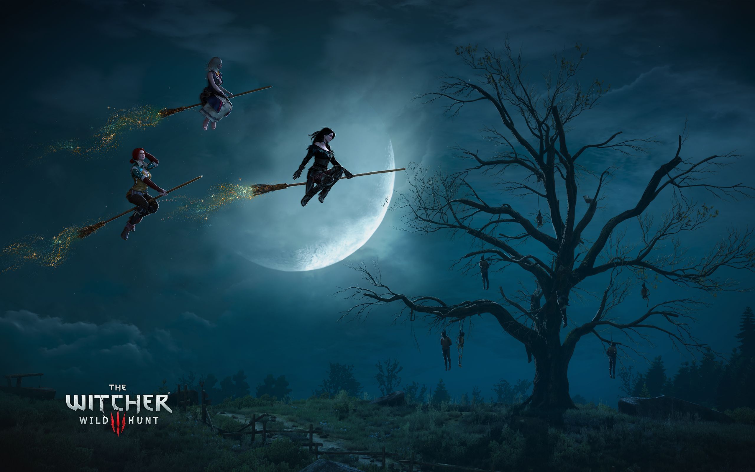 The Witcher 3 Wild Hunt Witches Wallpapers | HD Wallpapers