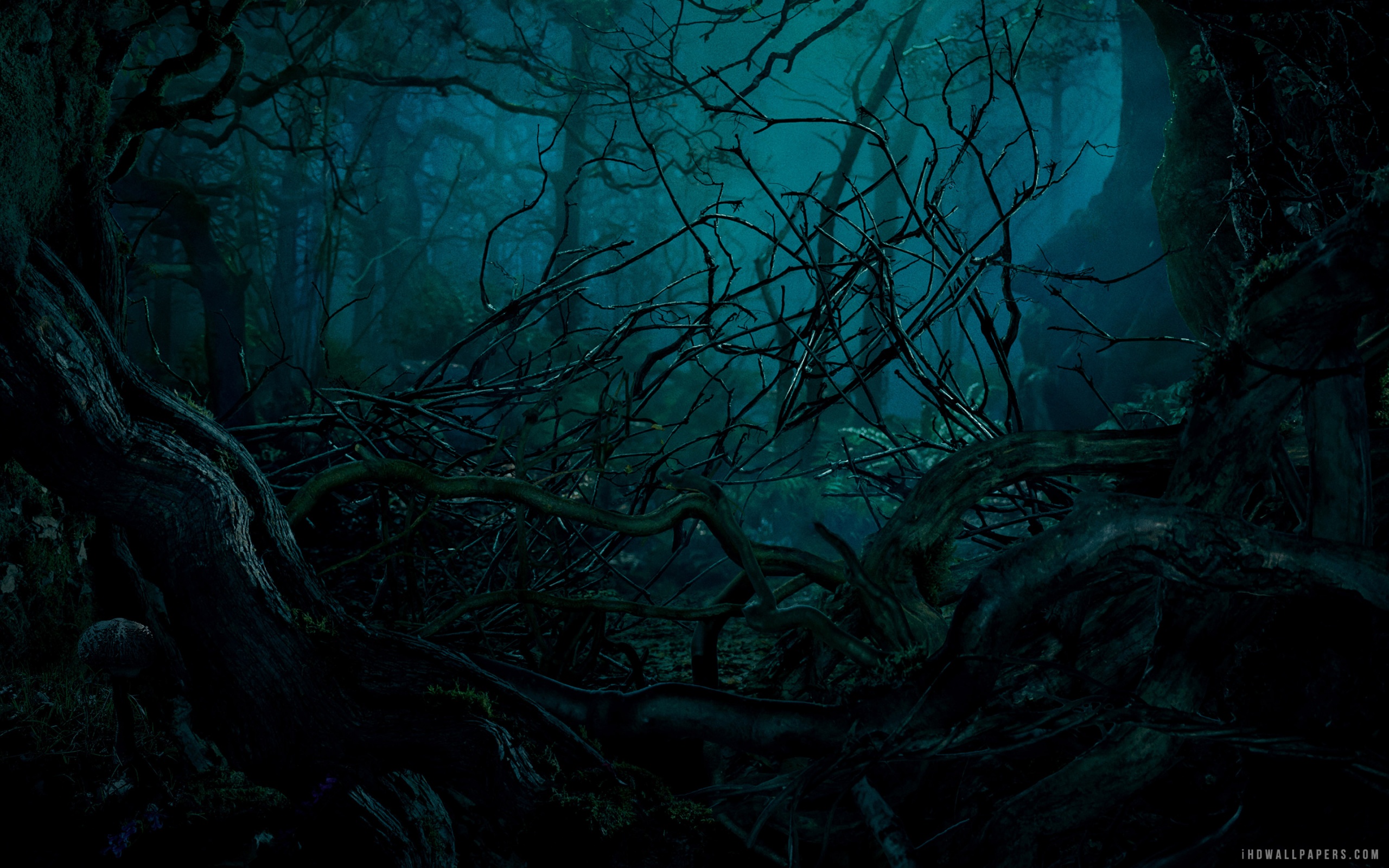 Into The Woods Movie HD Wallpaper - iHD Wallpapers