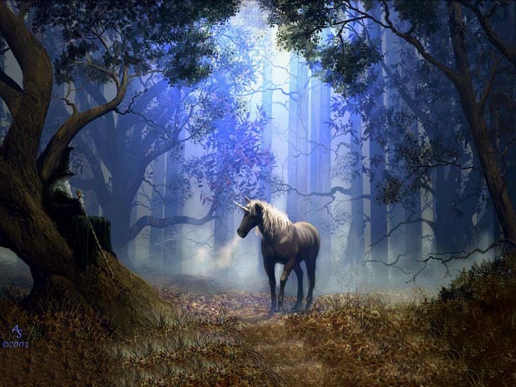 In The Woods - Unicorns Wallpaper (10473866) - Fanpop