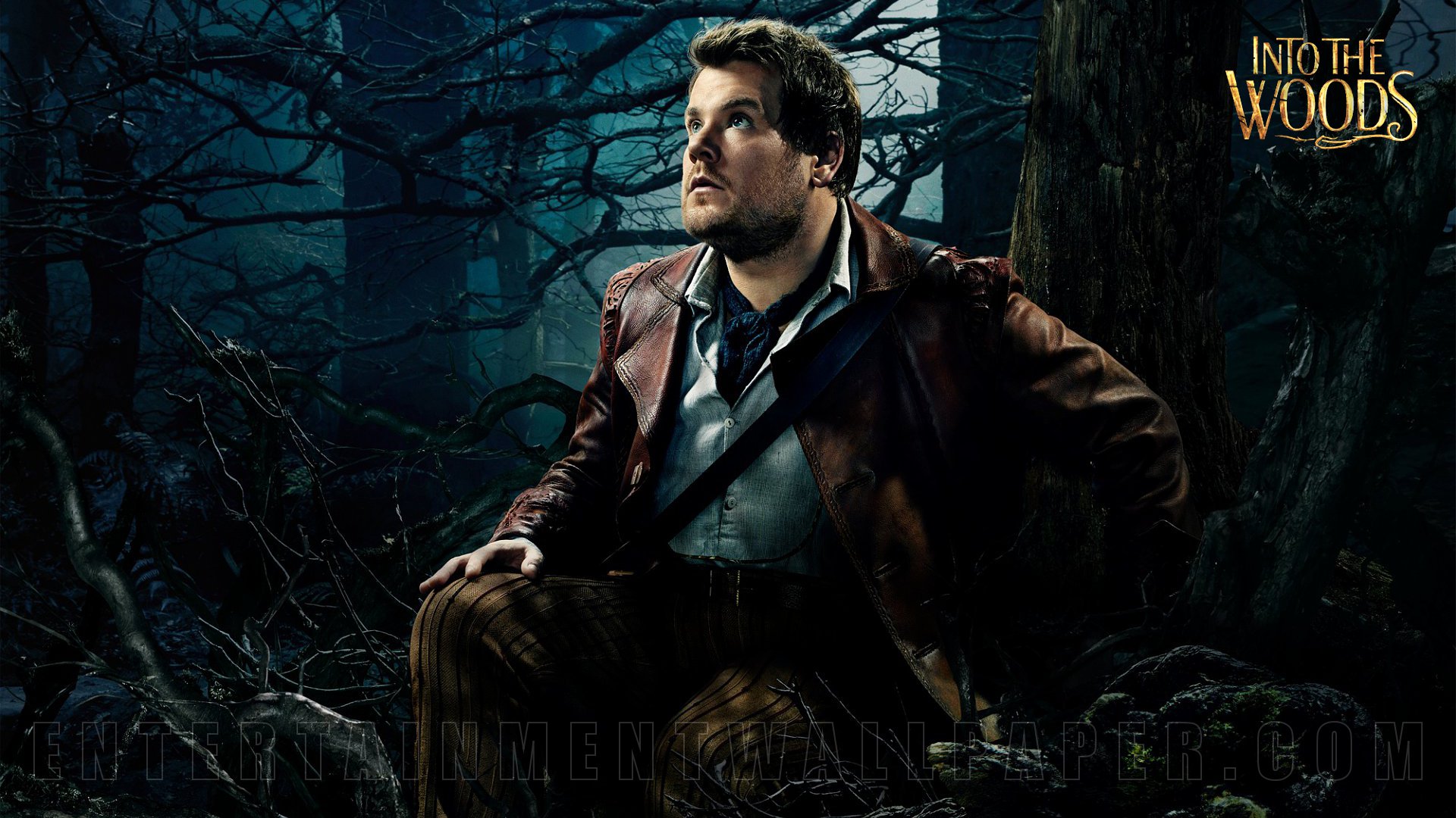 Into The Woods - Entertainment Wallpapers.com Wallpaper (37963546 ...
