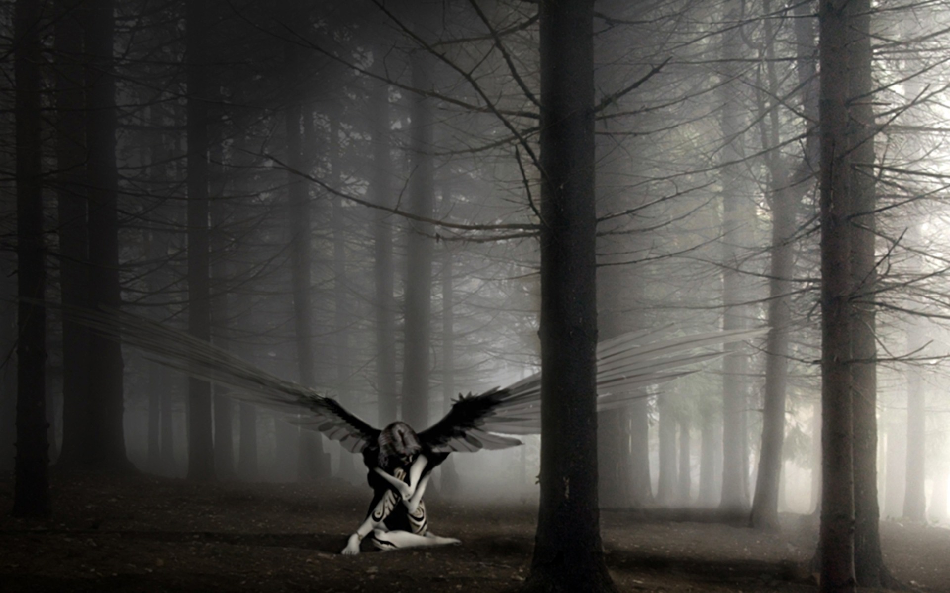 Angel in the Woods desktop wallpaper