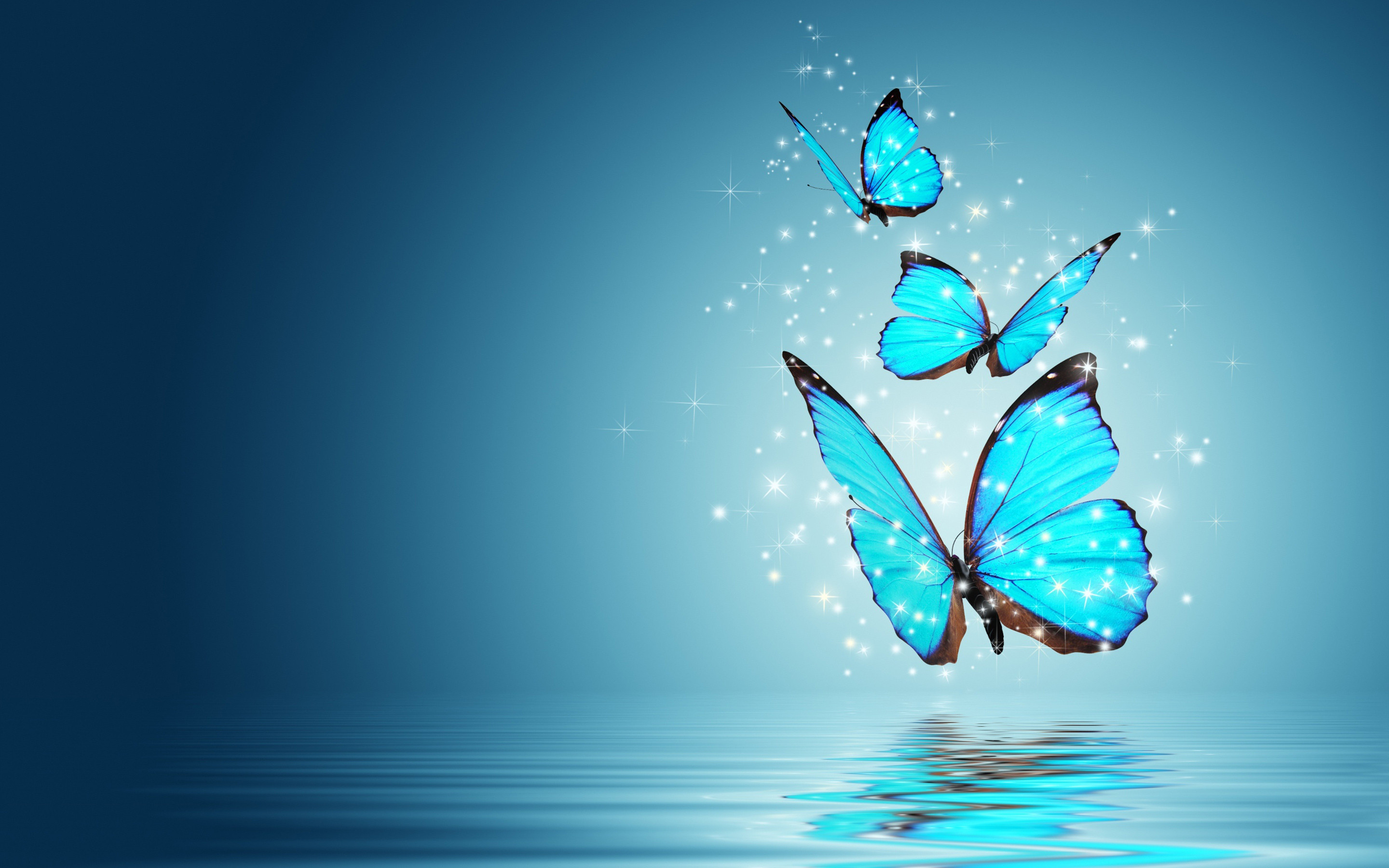 Butterfly Wallpaper Themes HD 6944 - HD Wallpapers Site