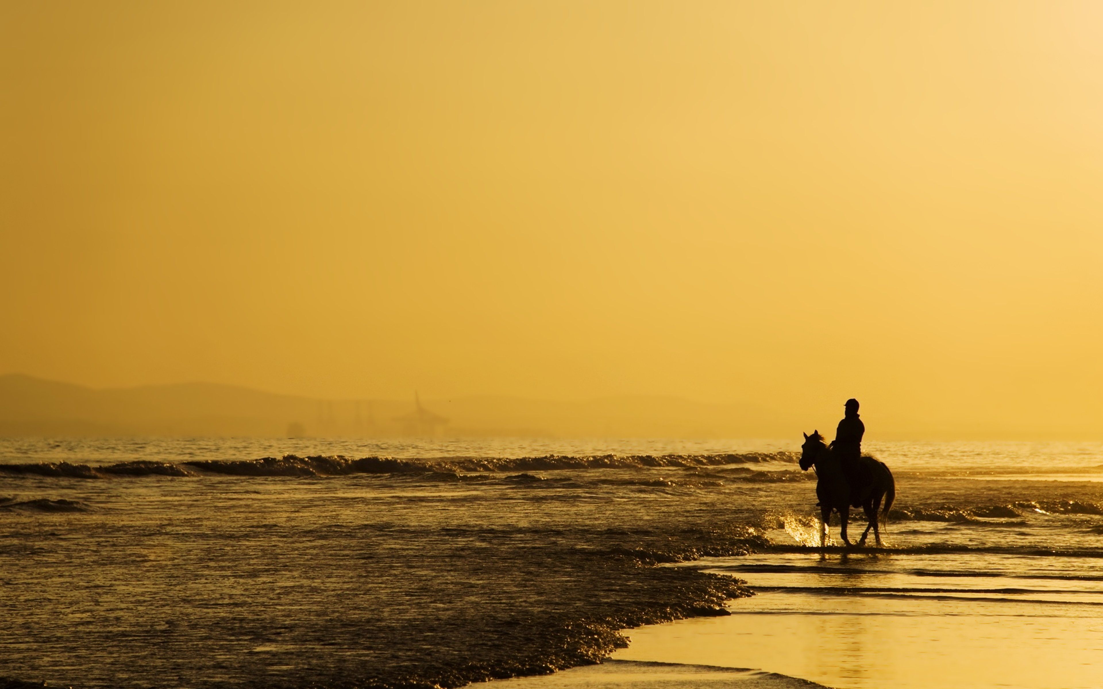 Sea beaches horse sky yellow landscapes nature earth alone lonely ...