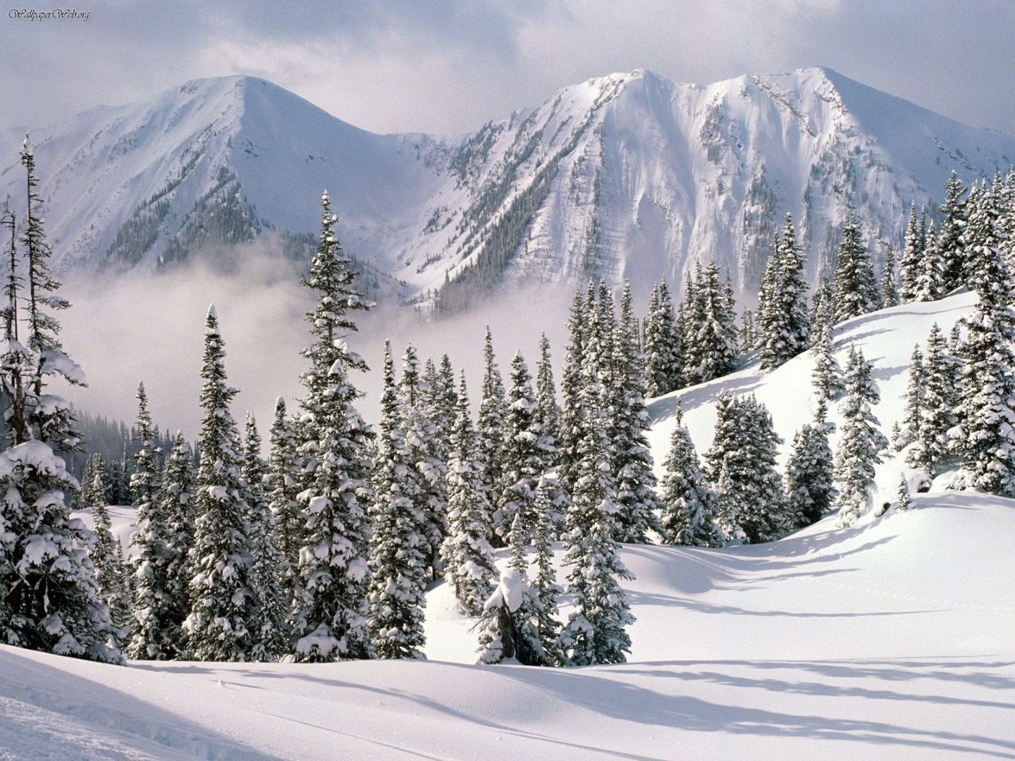 Nature: Winter Wonderland, British Columbia, Canada, picture nr. 25520