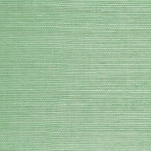 Sisal Tiffany Blue Grass Cloth Wallpape, Sample - Beach Style